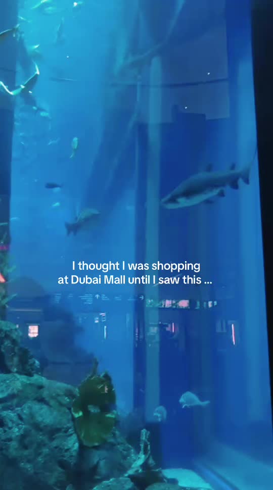 The Dubai Mall - אקווריום ודובאי אייס רינק