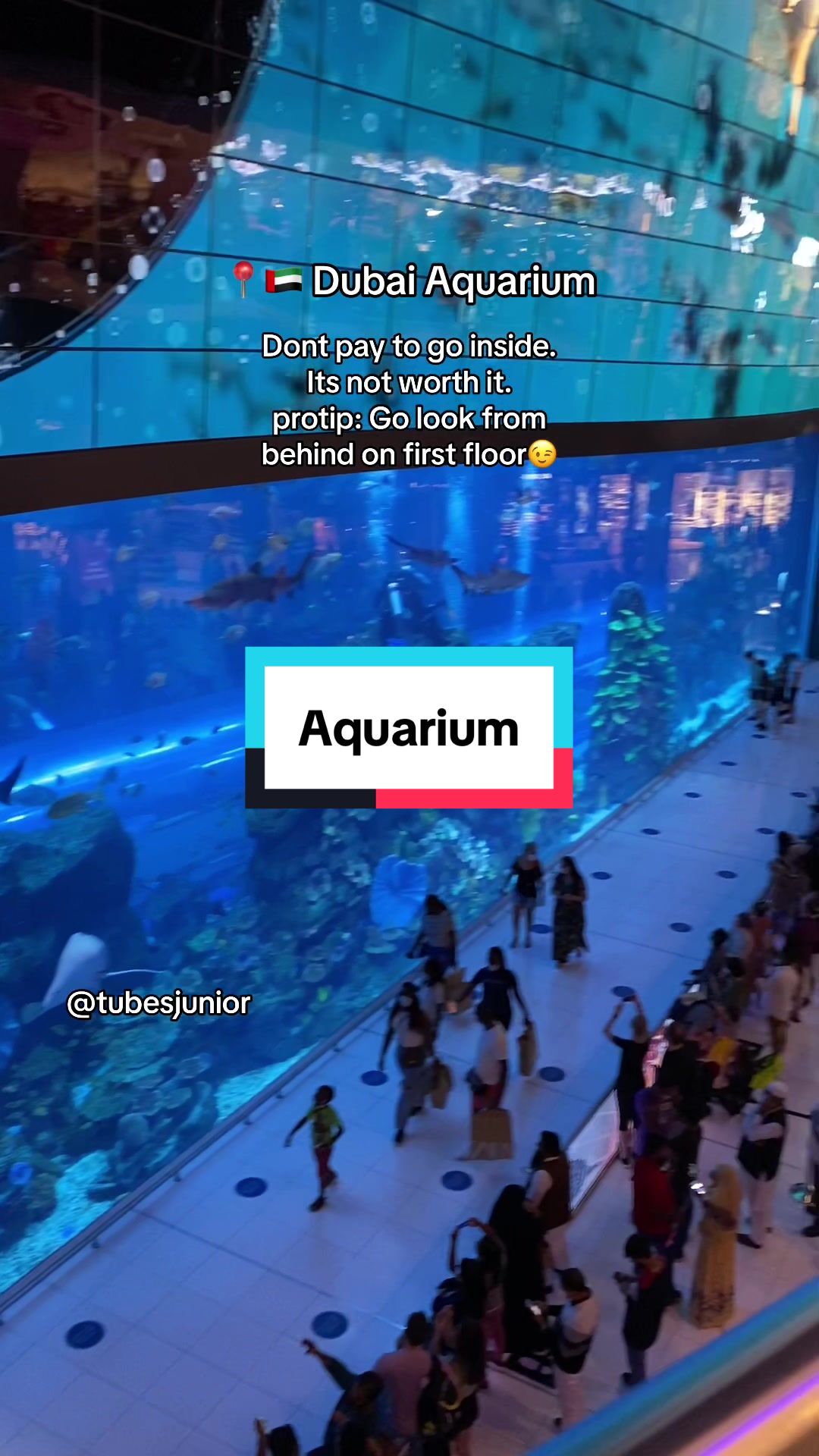 The Dubai Mall - אקווריום ודובאי אייס רינק