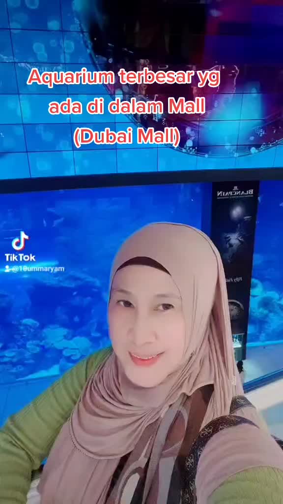The Dubai Mall - אקווריום ודובאי אייס רינק