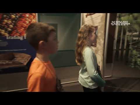 The Durham Museum