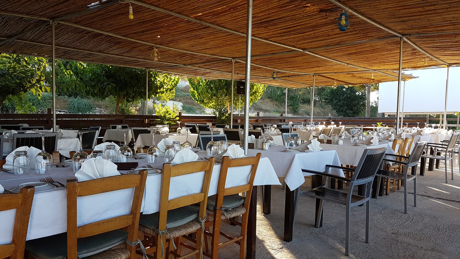 תמונה עבור Organic Farm Eatery