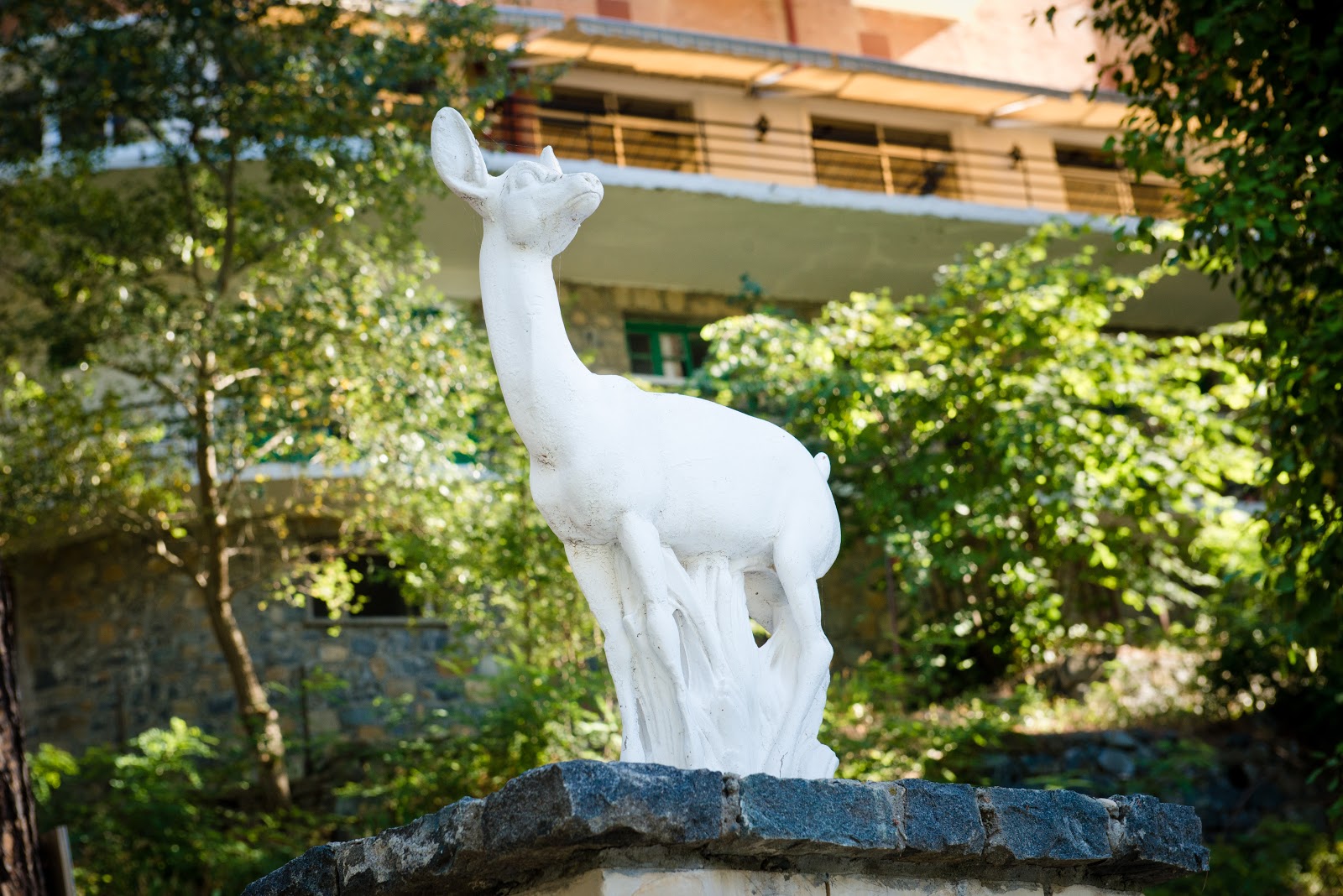 תמונה עבור Forest Park Hotel