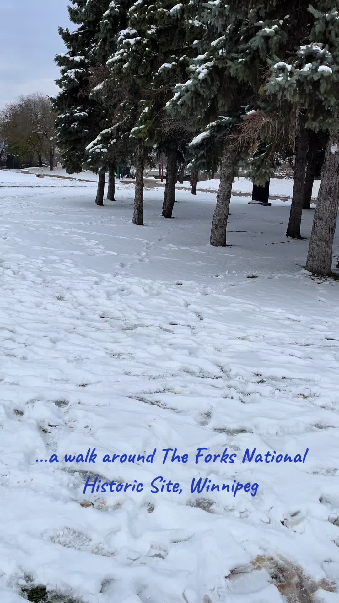 The Forks National Historic Site (Winnipeg)