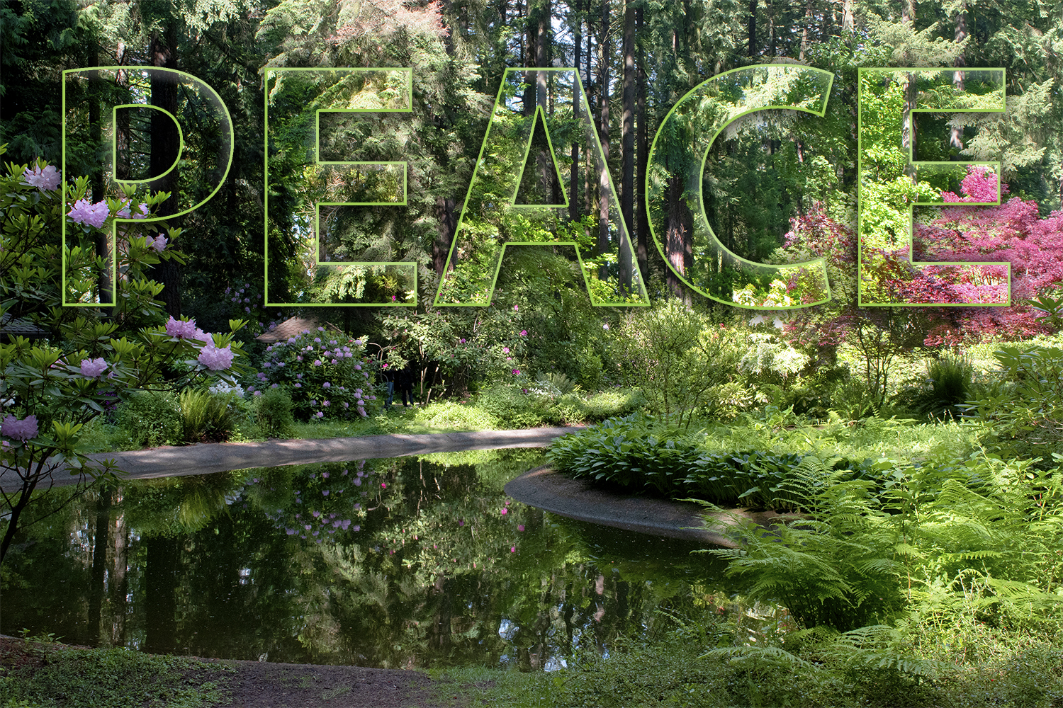 Picture for The Grotto Grill