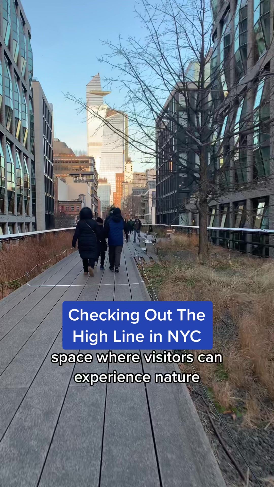 The High Line