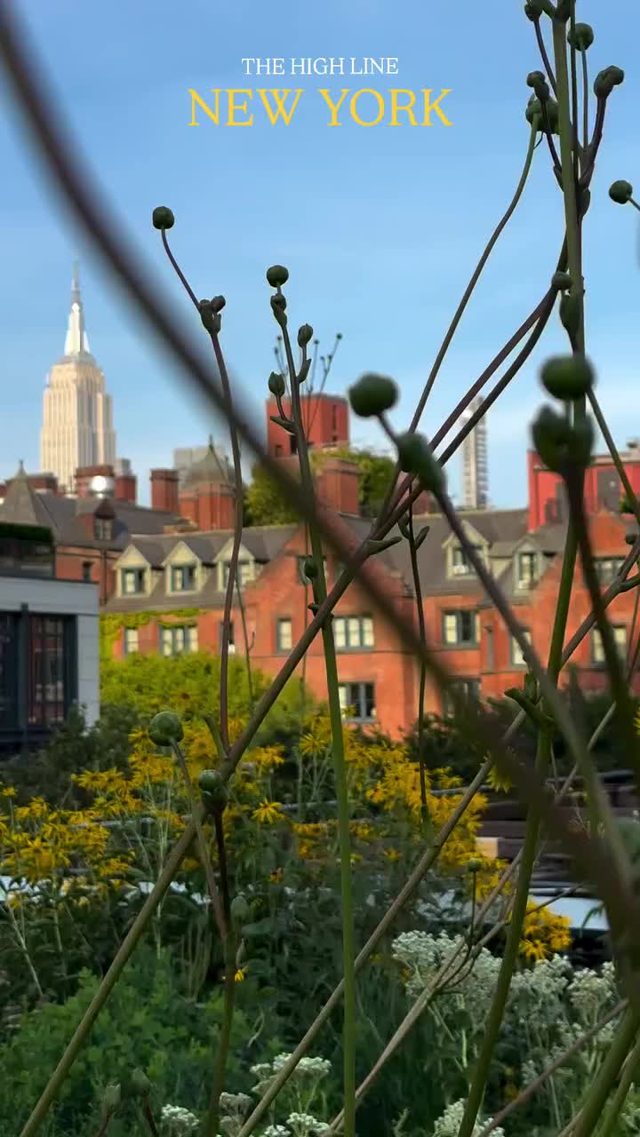 The High Line