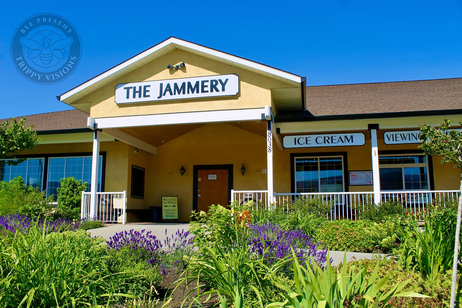 Picture for The Jammery