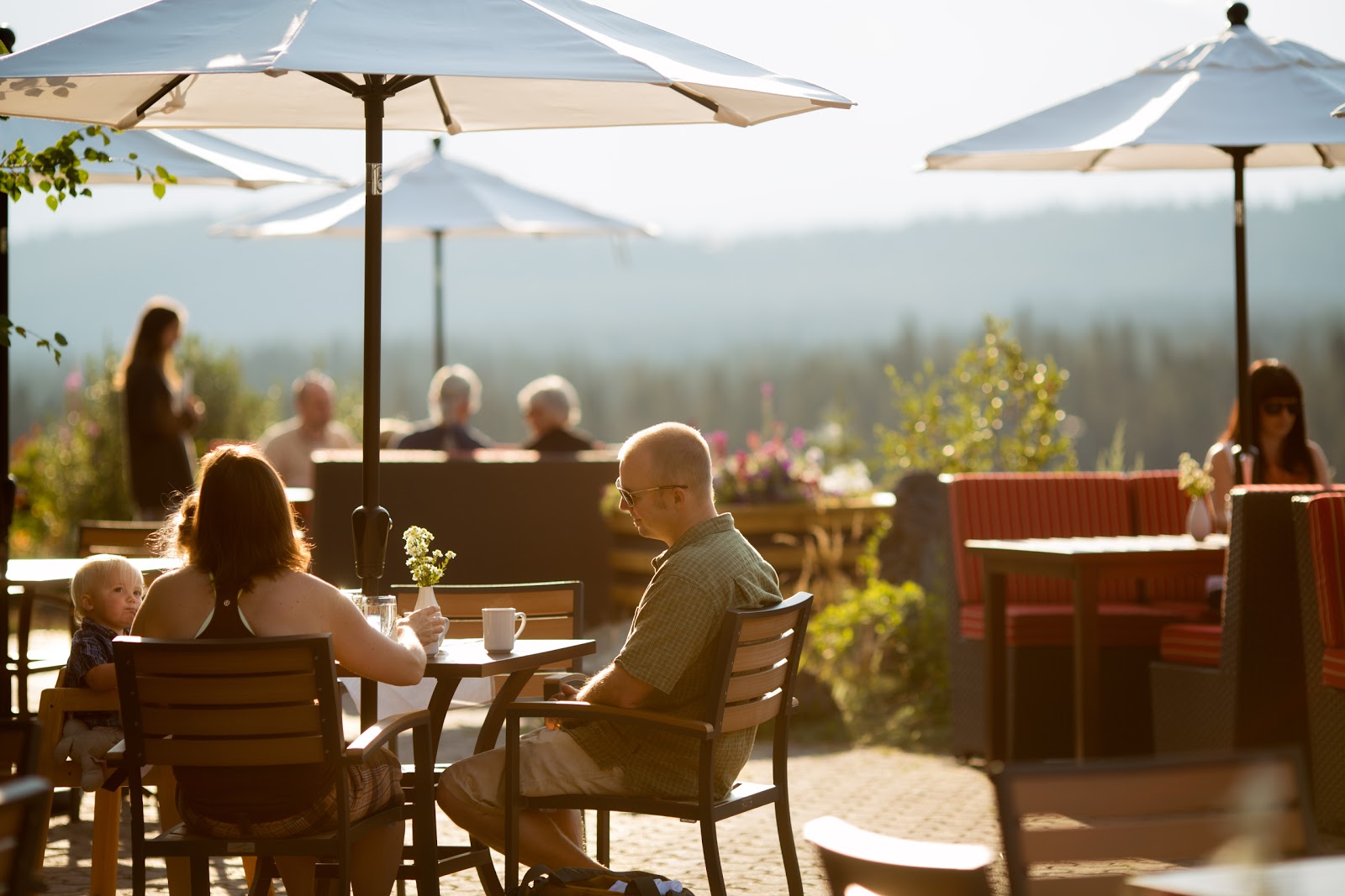 Picture for Juniper Bistro