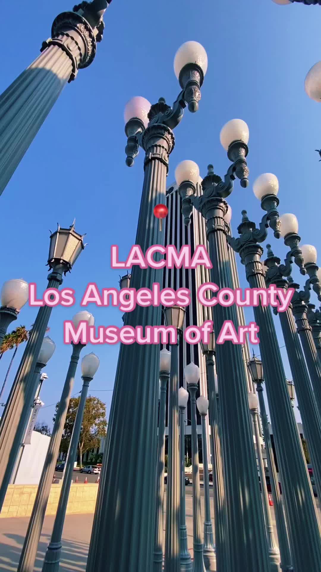 The Los Angeles County Museum of Art (LACMA)