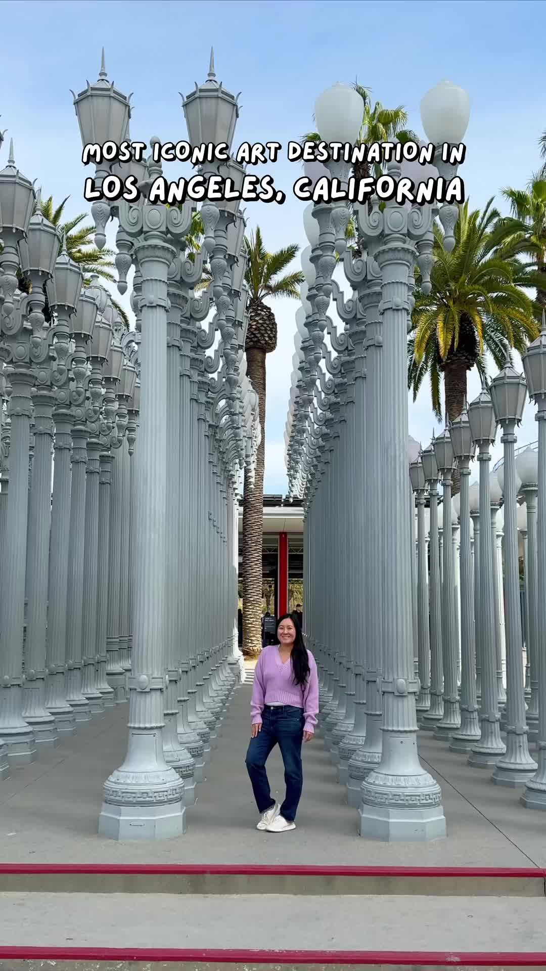The Los Angeles County Museum of Art (LACMA)