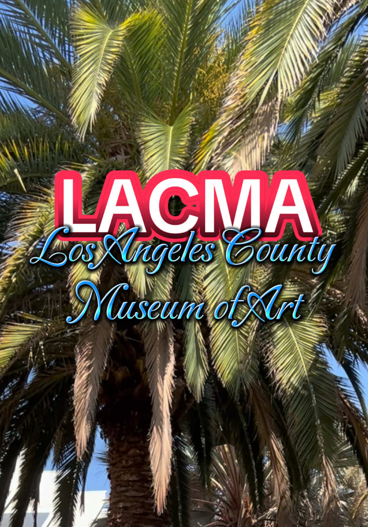 The Los Angeles County Museum of Art (LACMA)