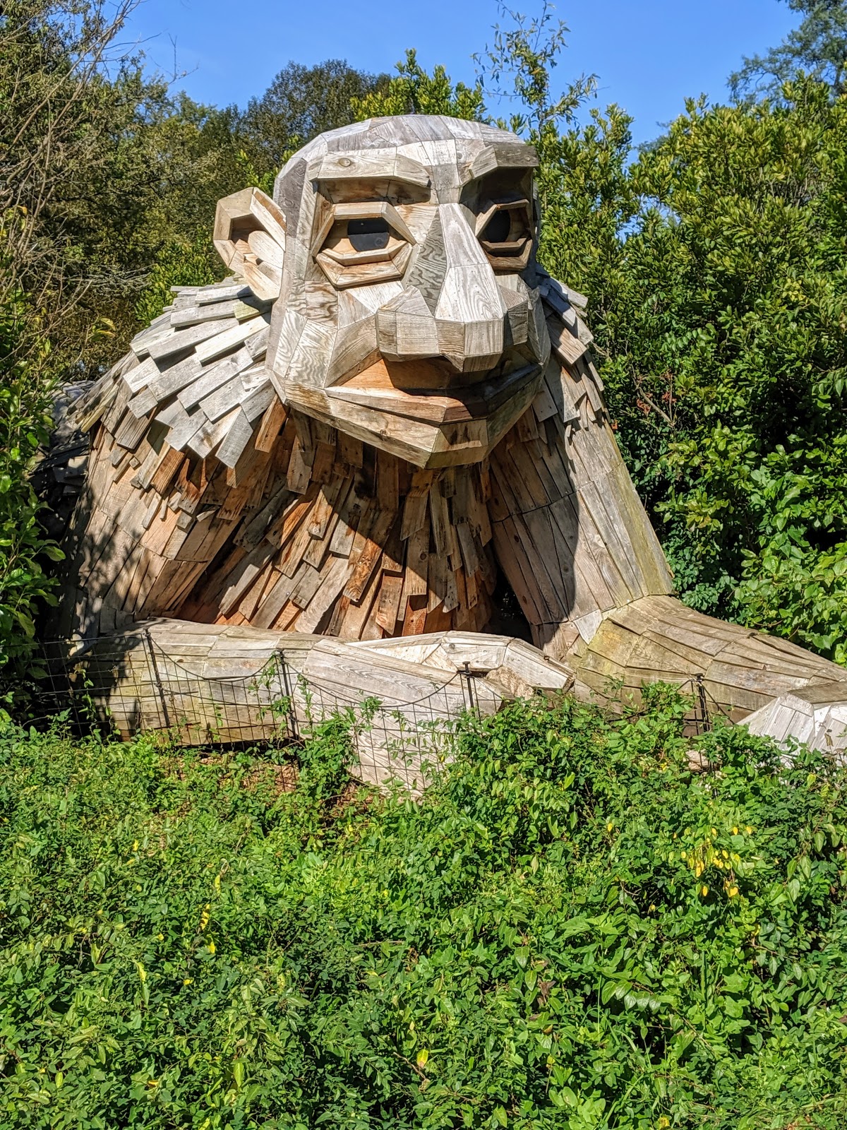 Morton Arboretum