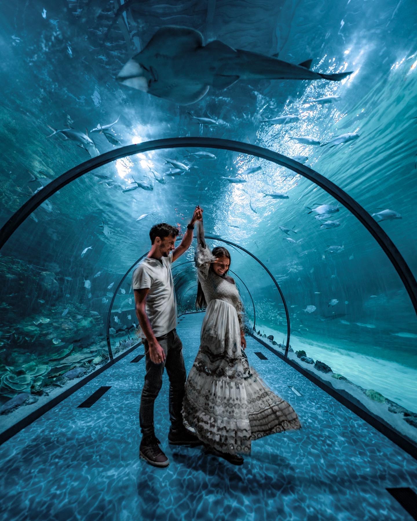 Aquarium The National Aquarium Abu Dhabi