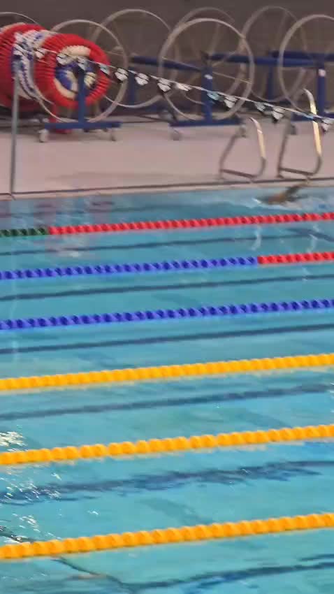 The National Aquatic Centre (Dublin)