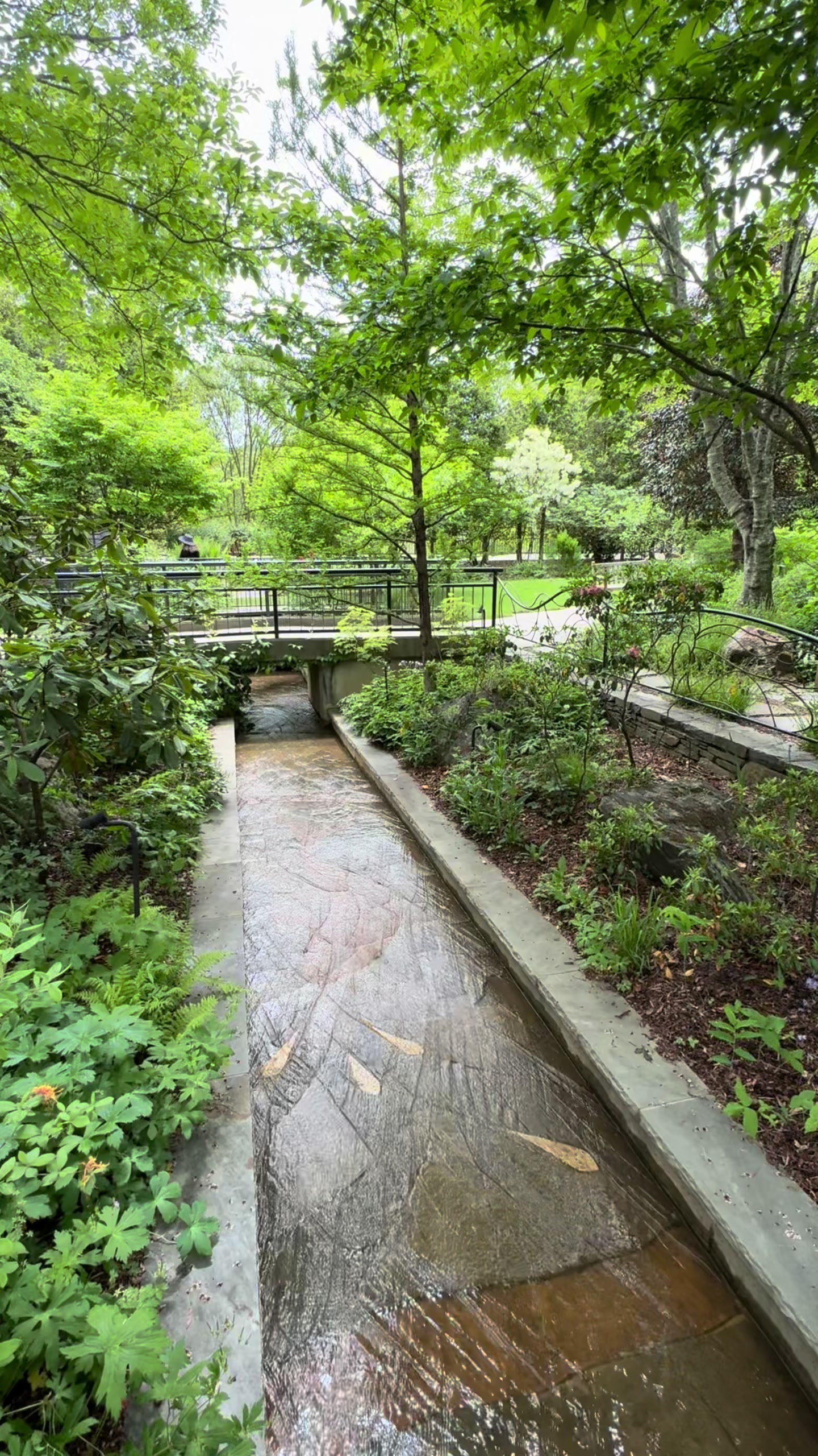 The North Carolina Arboretum