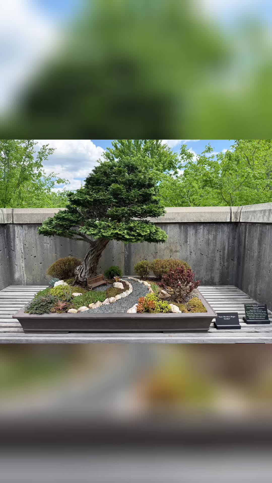 The North Carolina Arboretum