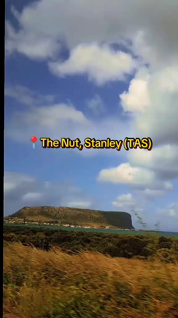 The Nut State Reserve