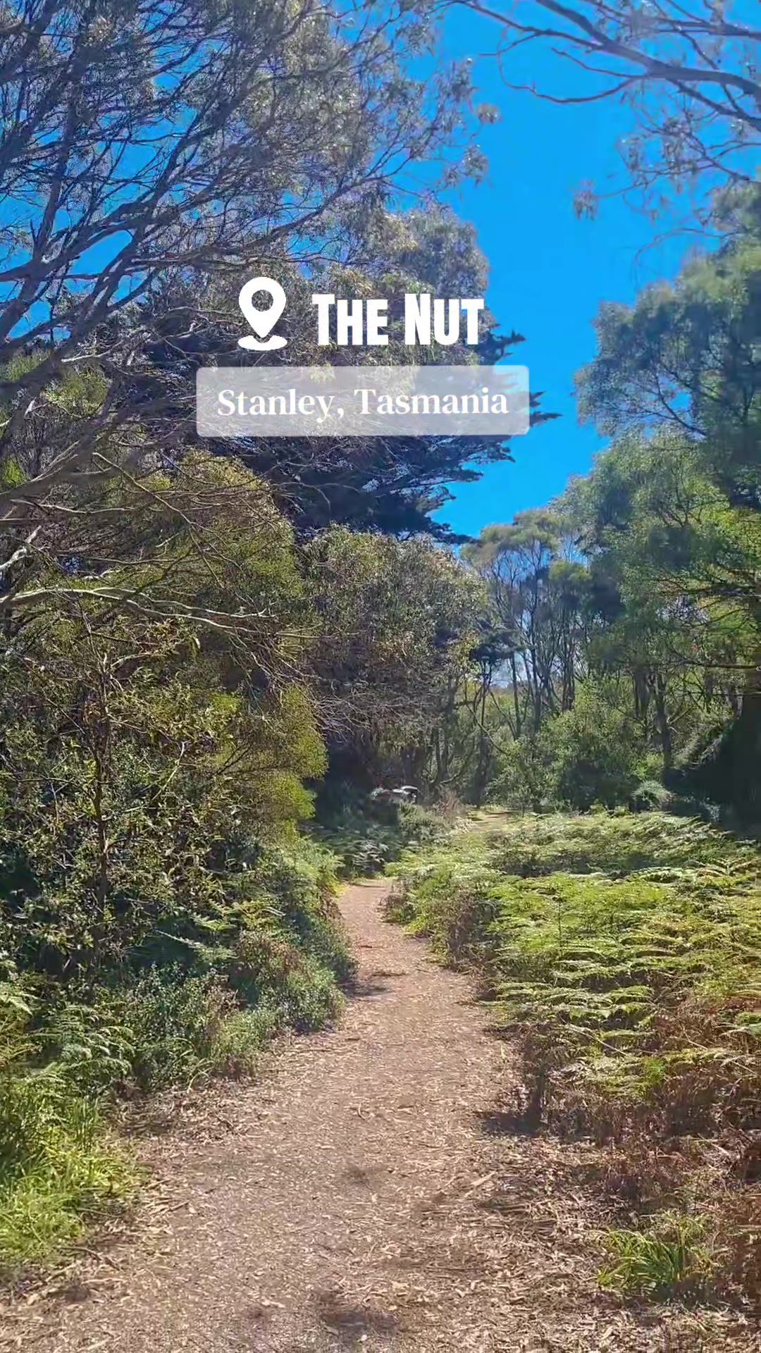 The Nut State Reserve