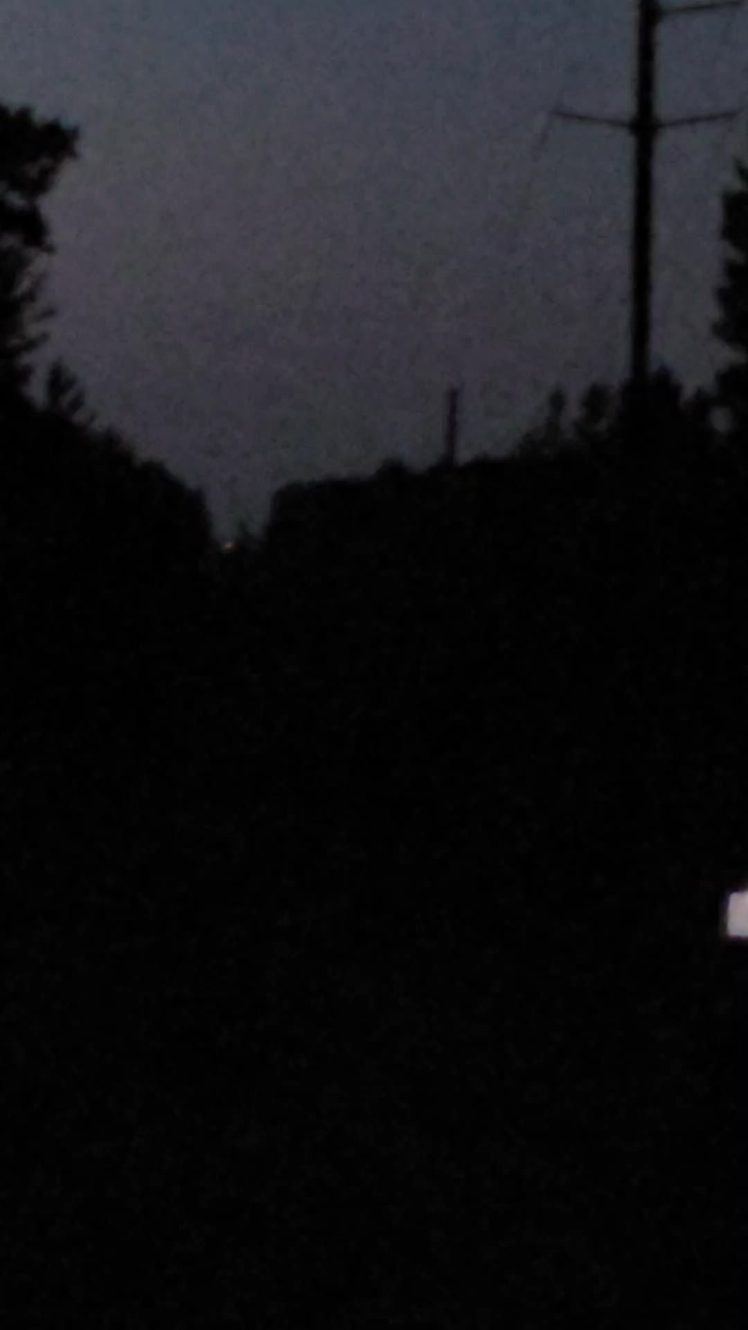 The Paulding Light
