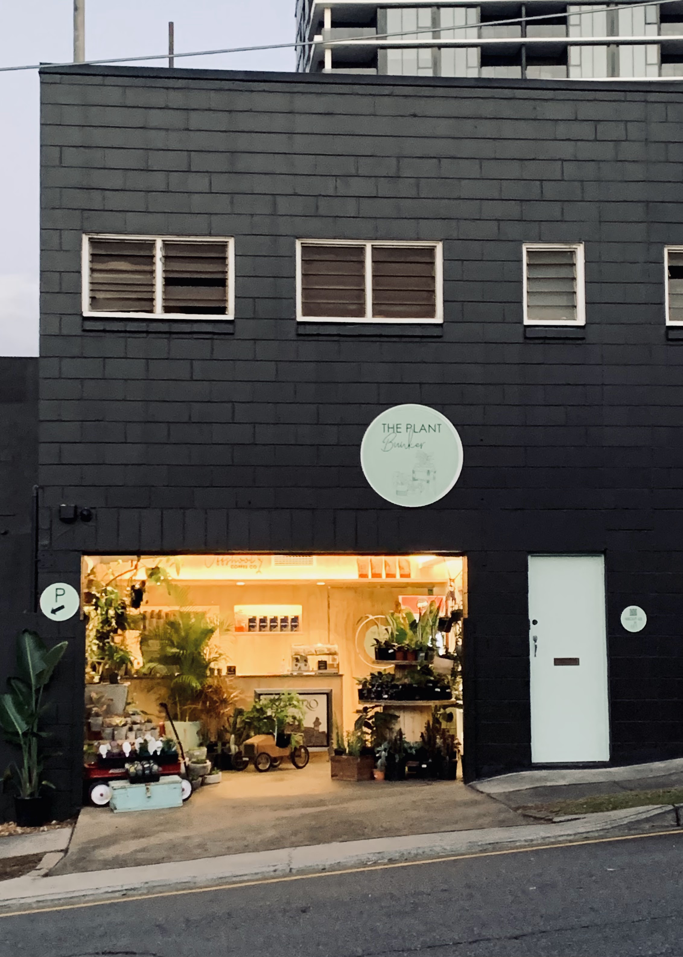 Picture for Geranium (Brisbane)