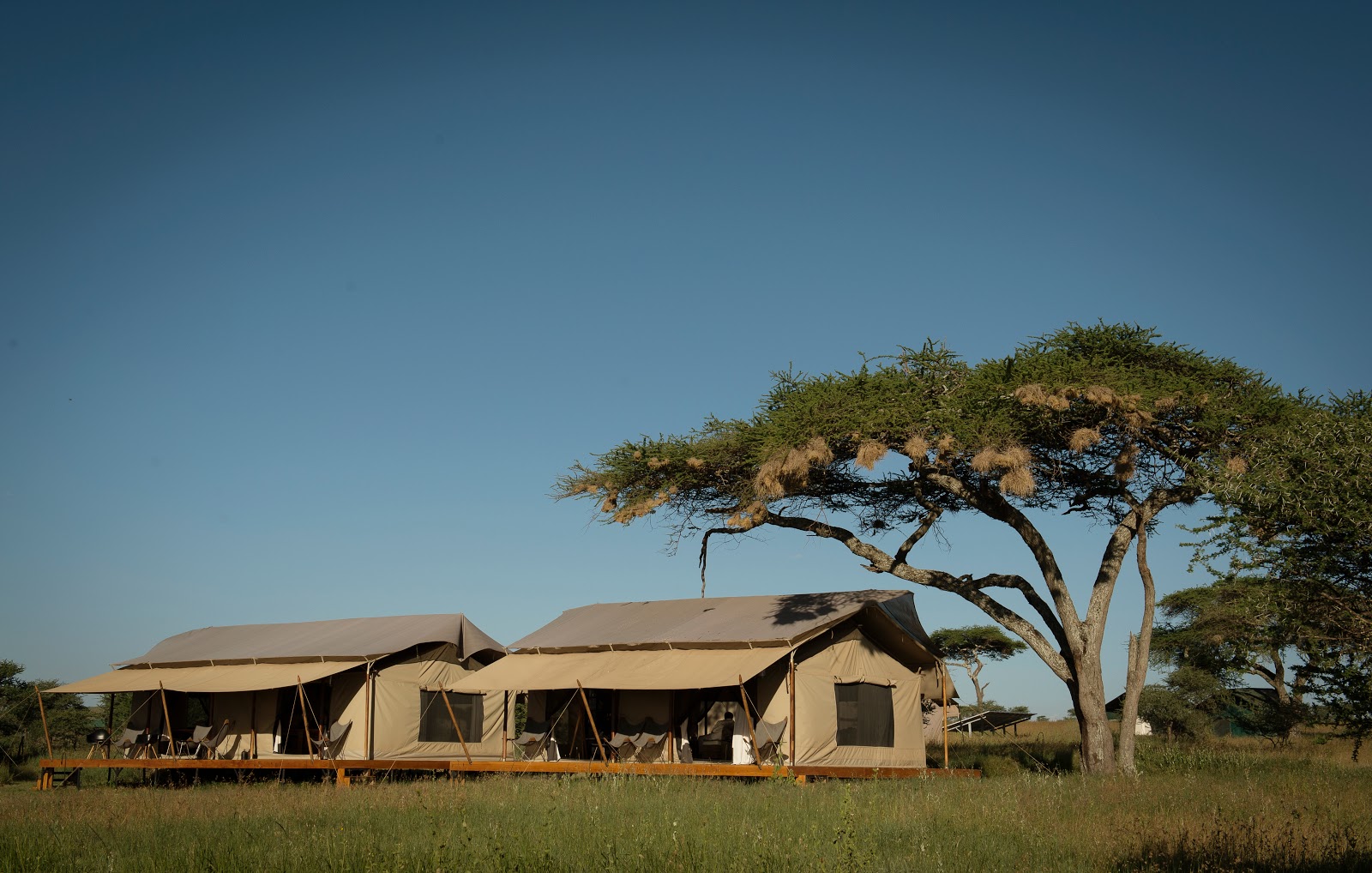 Picture for The Siringit Serengeti Camp