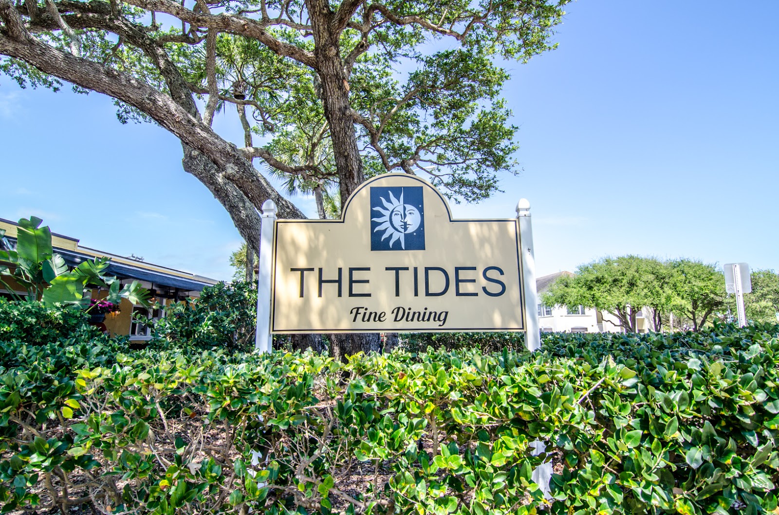 תמונה עבור The Tides
