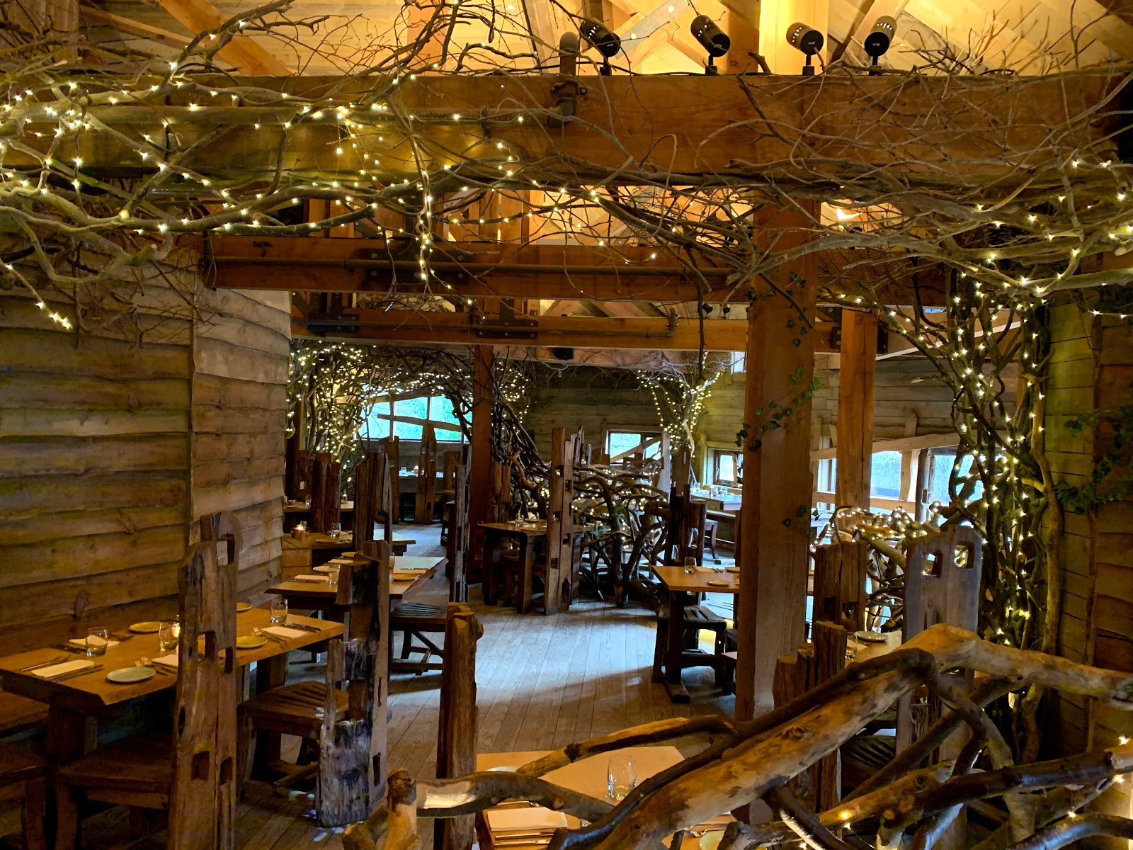 Picture for The Treehouse Restaurant, Alnwick Gardens