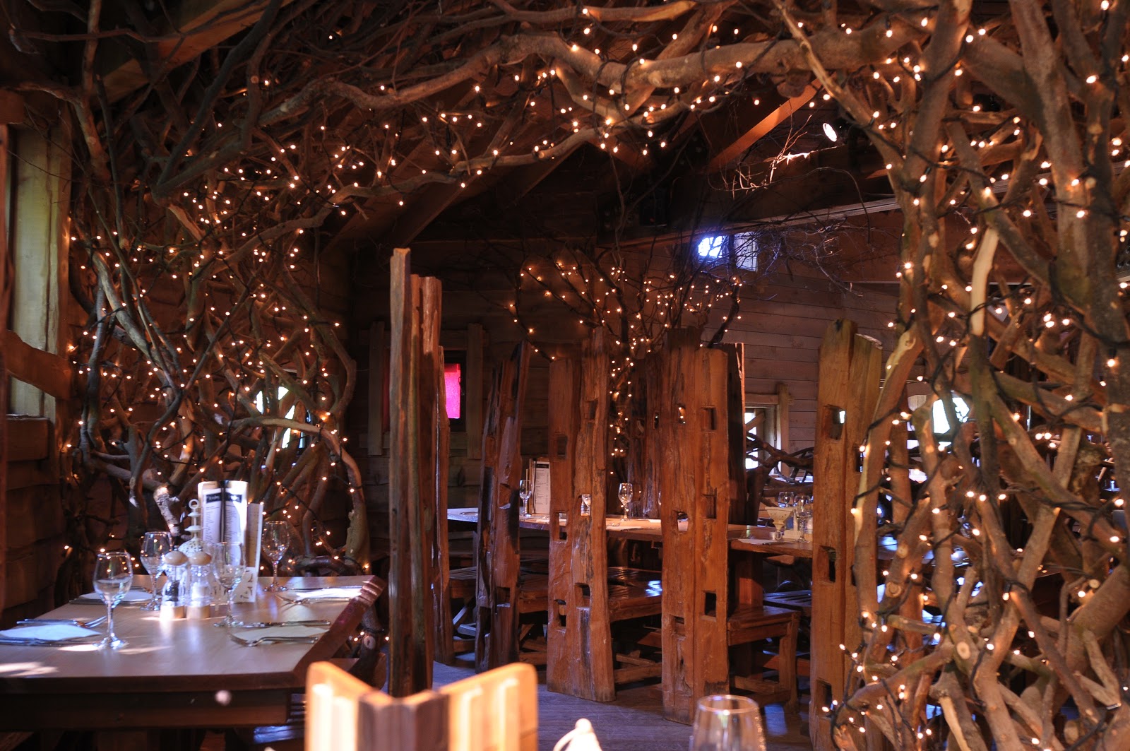 Picture for The Treehouse Restaurant at Alnwick Gardens - Alnwick, England