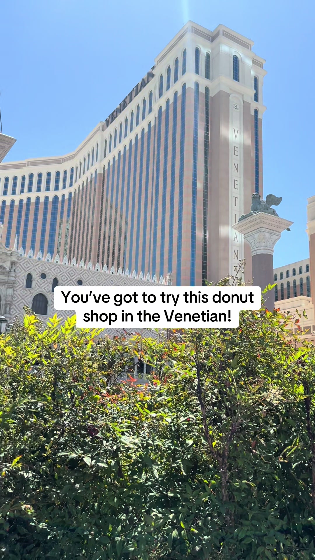 The Venetian
