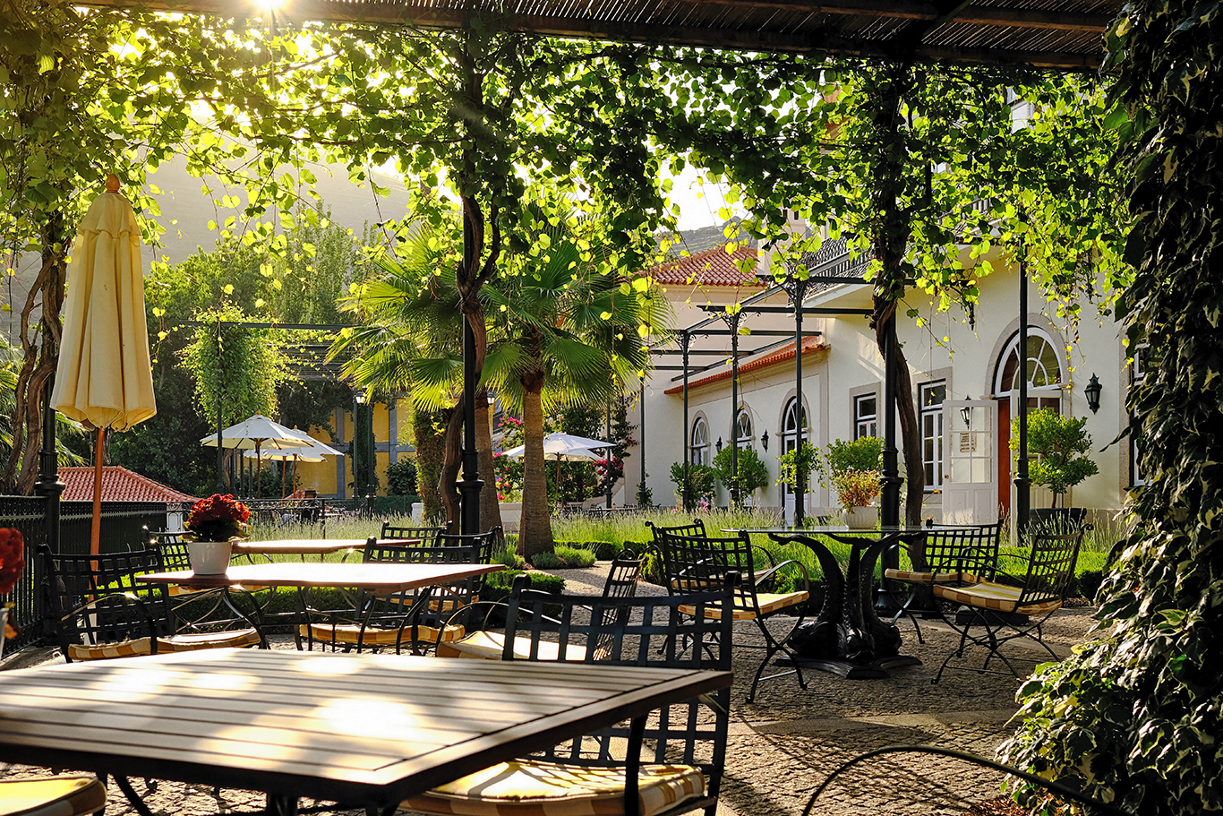תמונה עבור The Vintage House Hotel