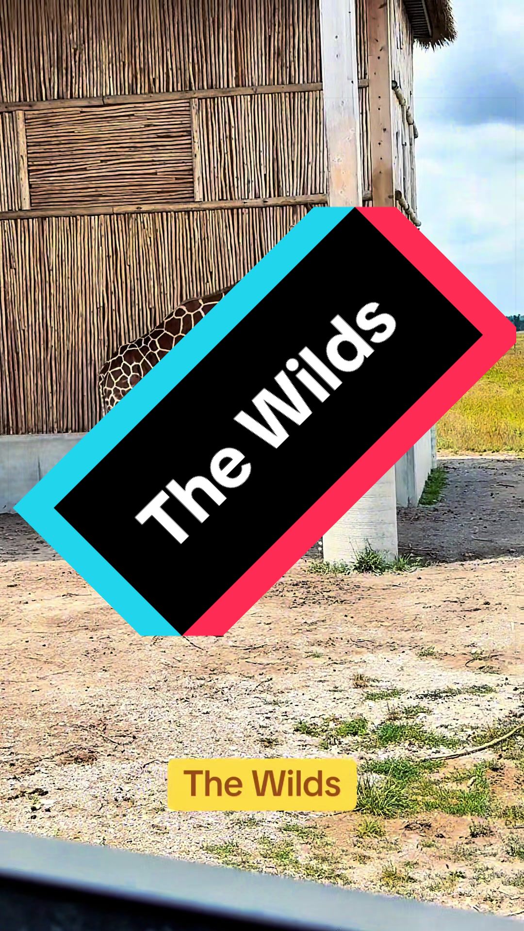 The Wilds