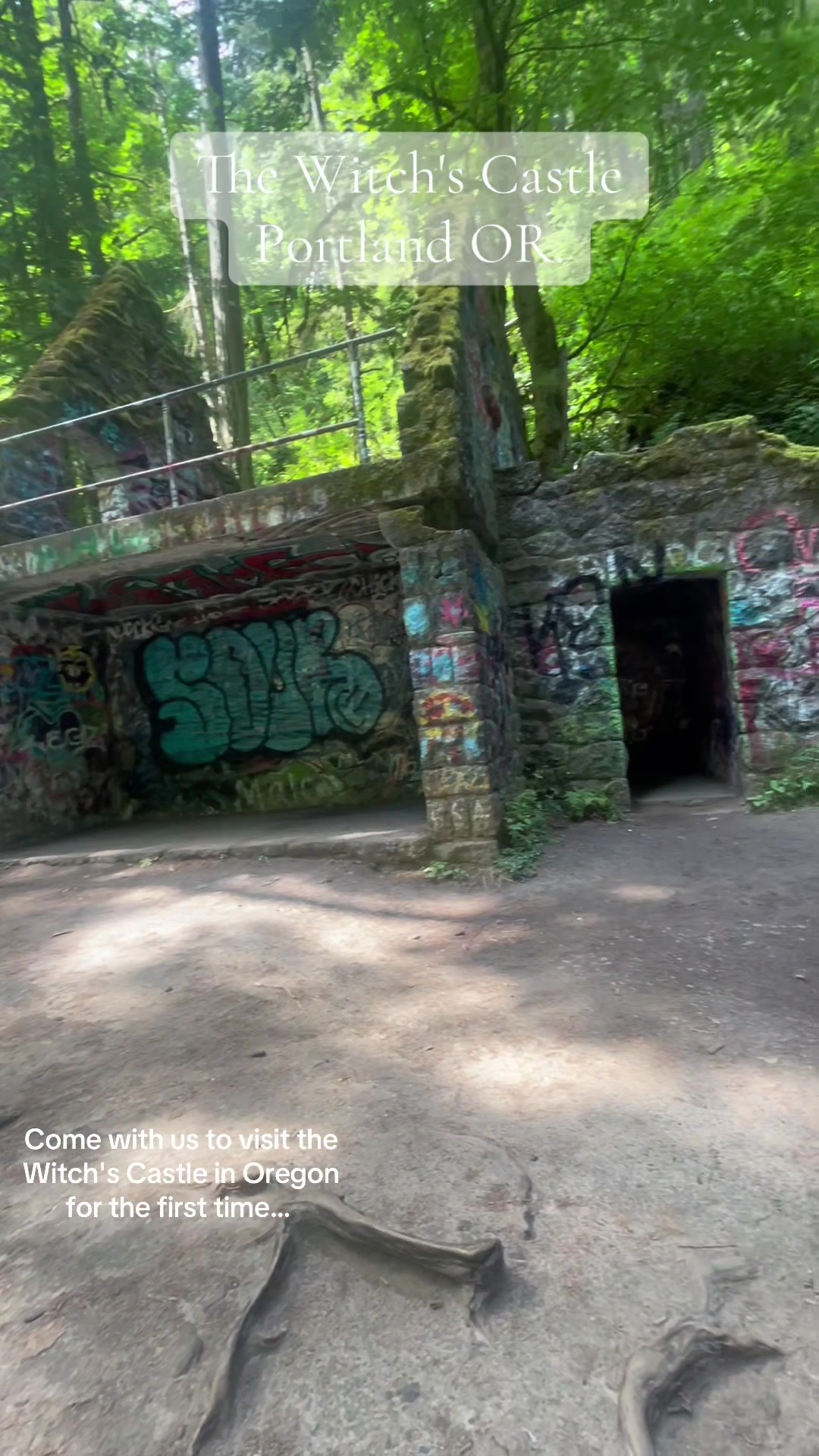 The Witch's Castle