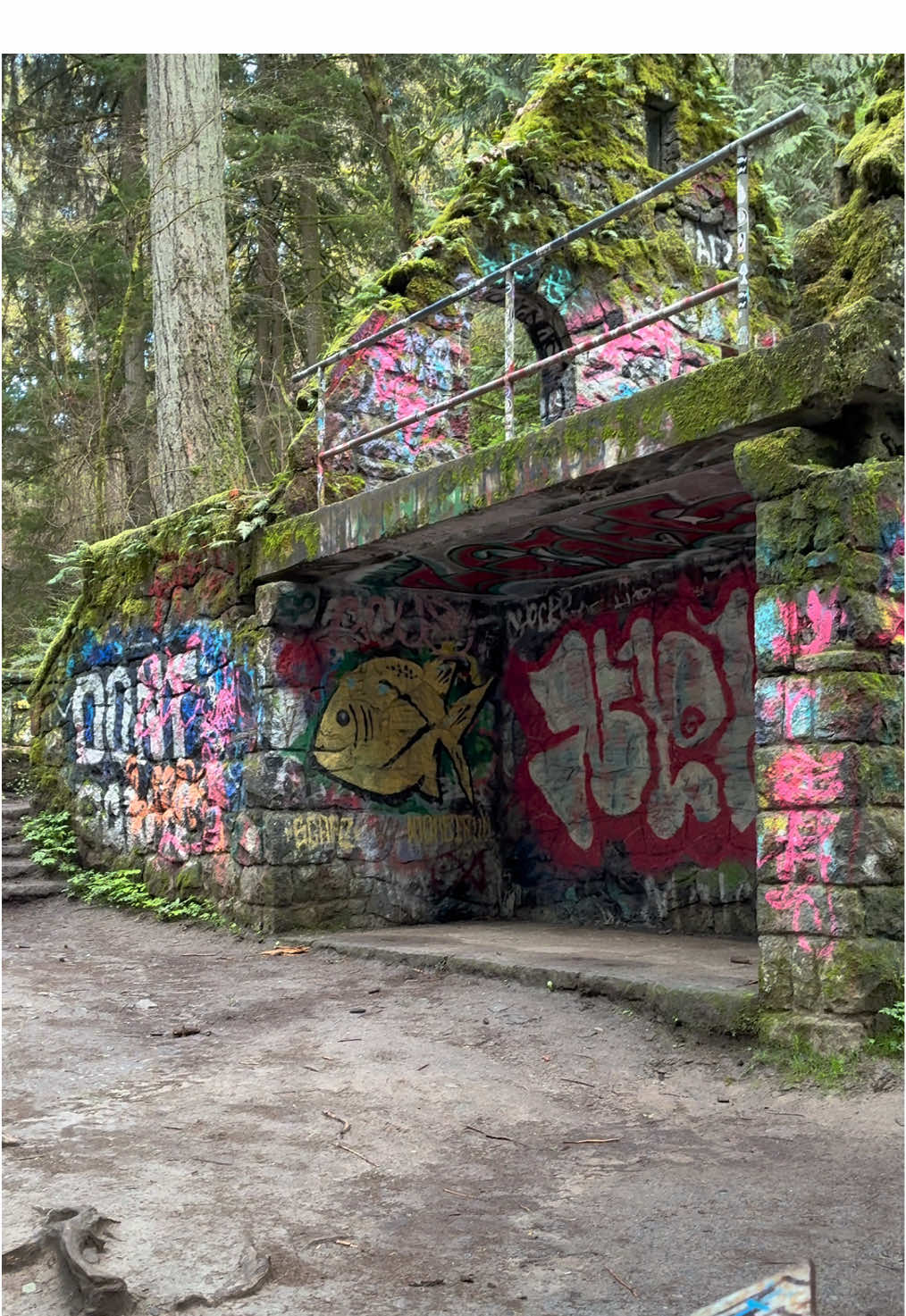 The Witch's Castle