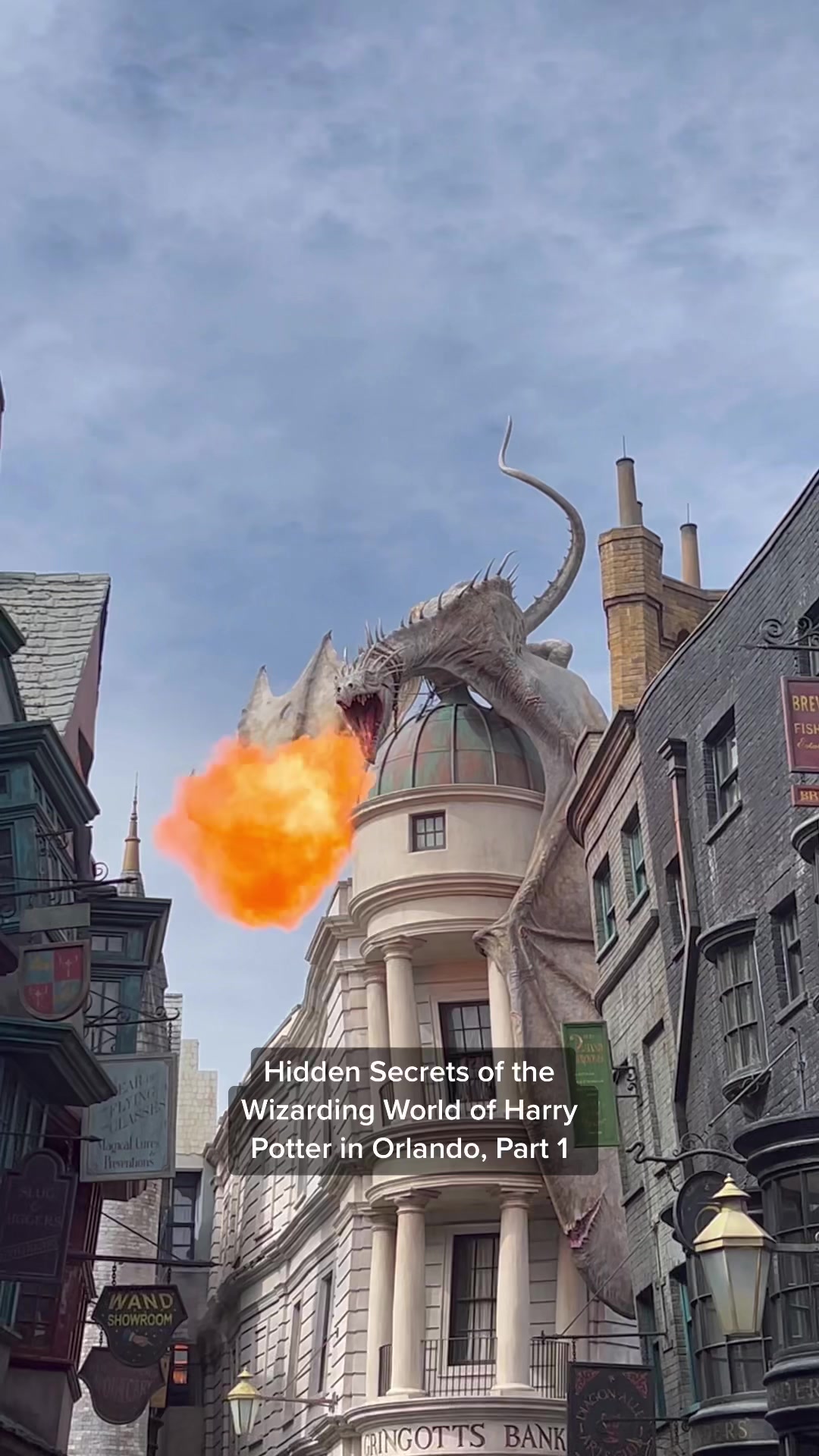 The Wizarding World of Harry Potter