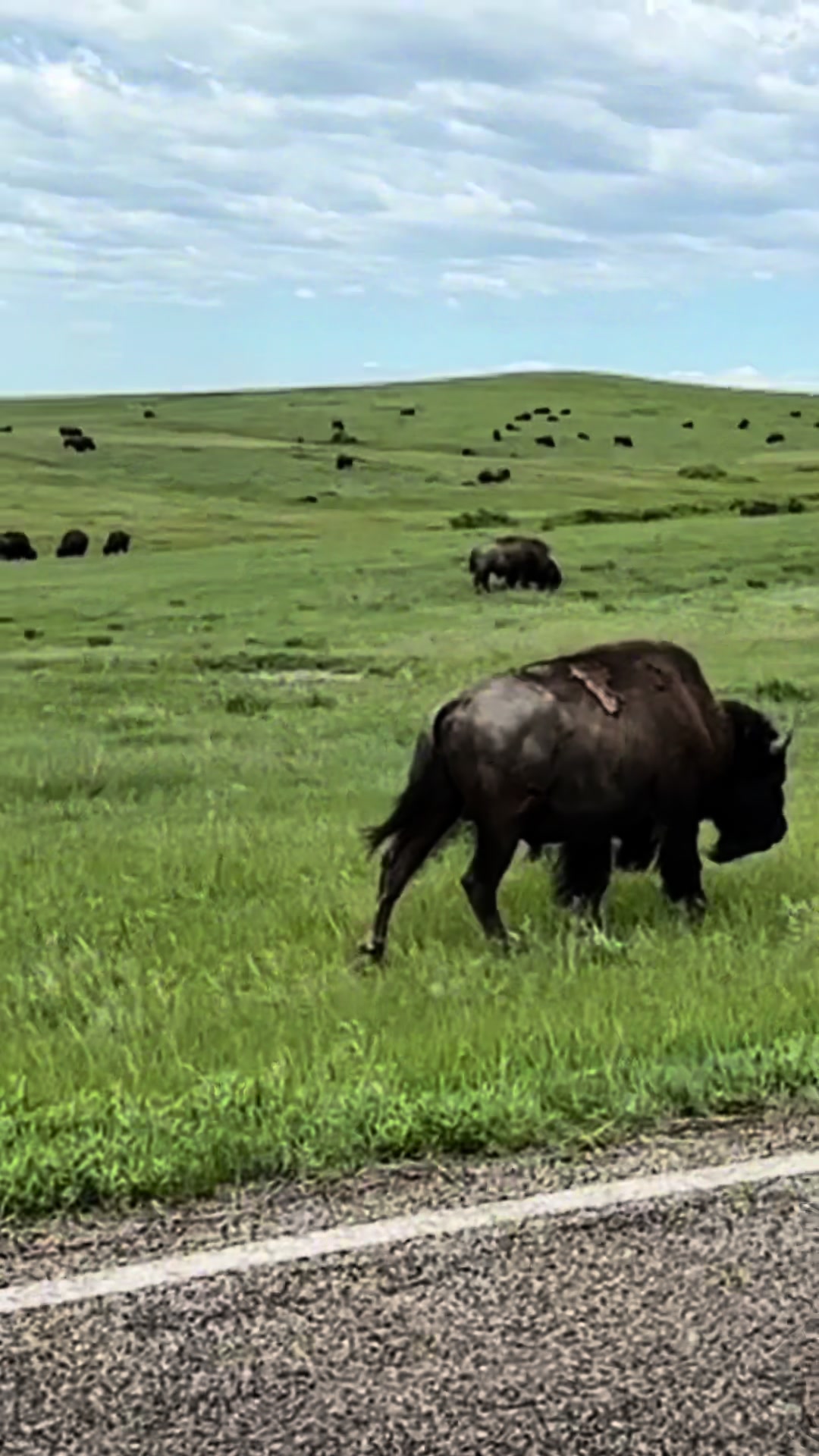 Theodore Roosevelt National Park