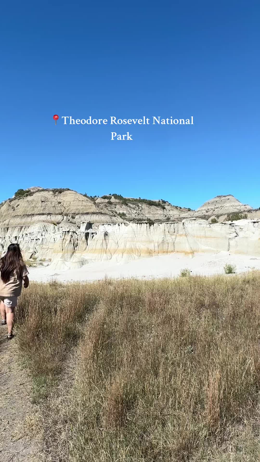 Theodore Roosevelt National Park