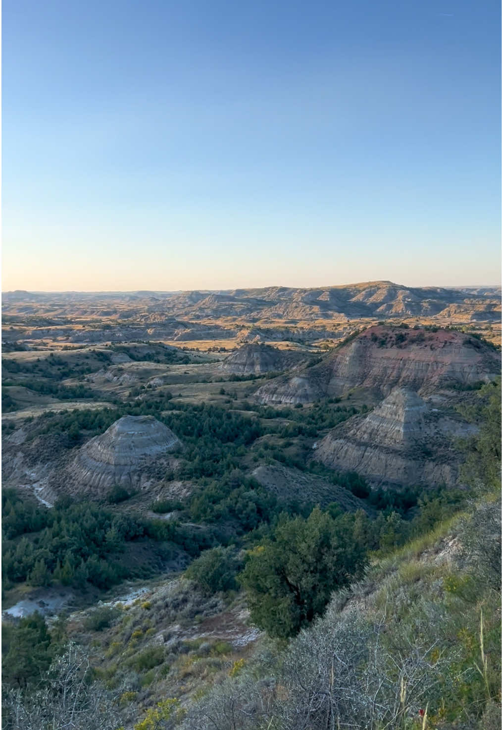 Theodore Roosevelt National Park