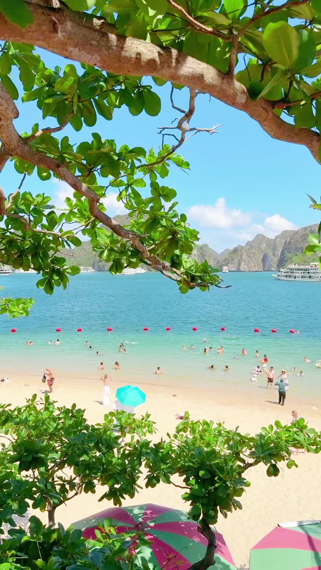 Ti Top Island (beach & viewpoint)