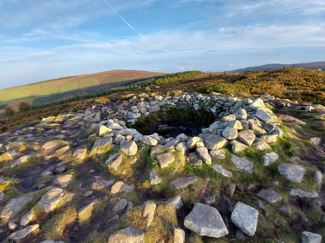 Изображение для Forest (Dublin)