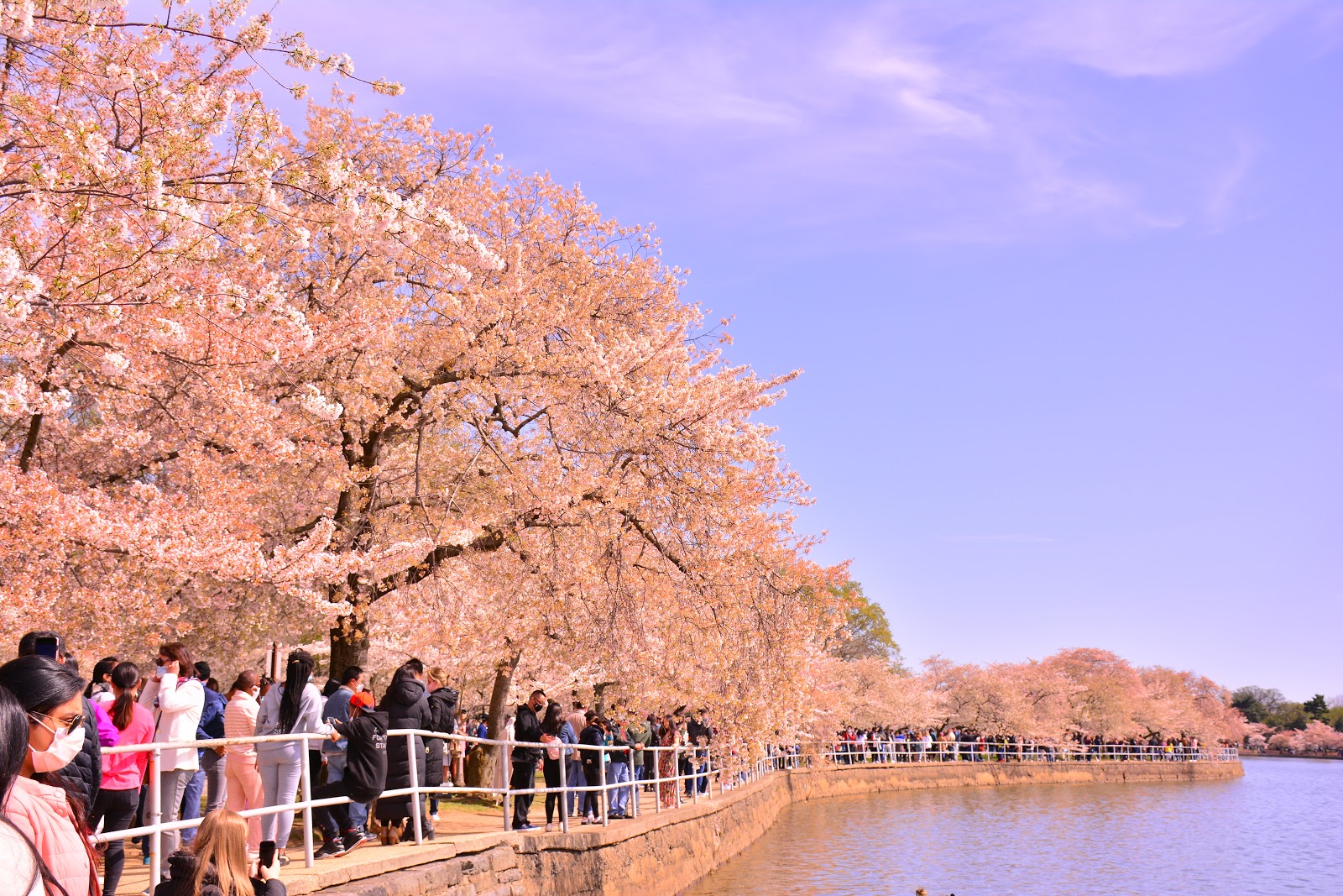 Tidal Basin