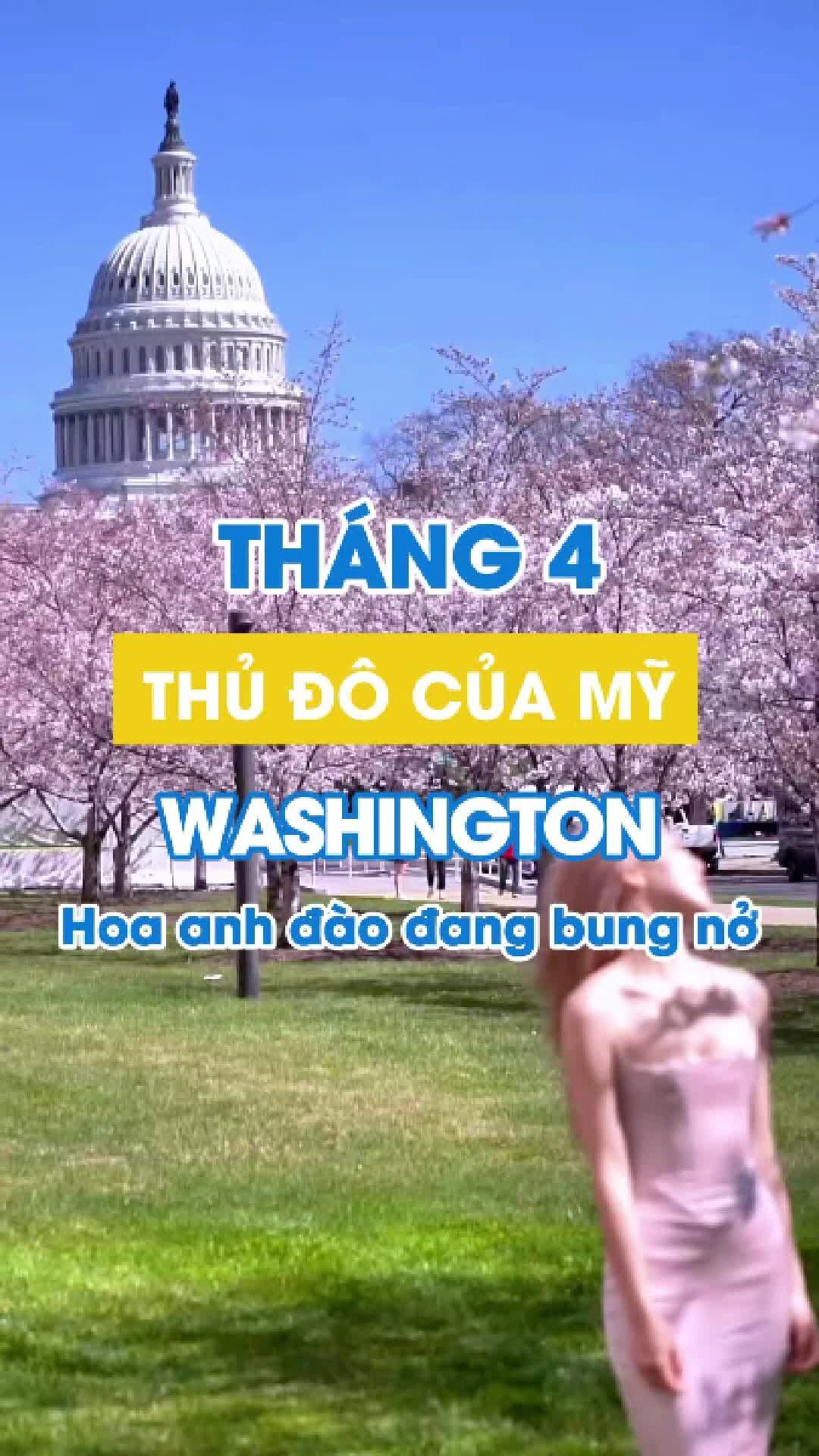 Tidal Basin