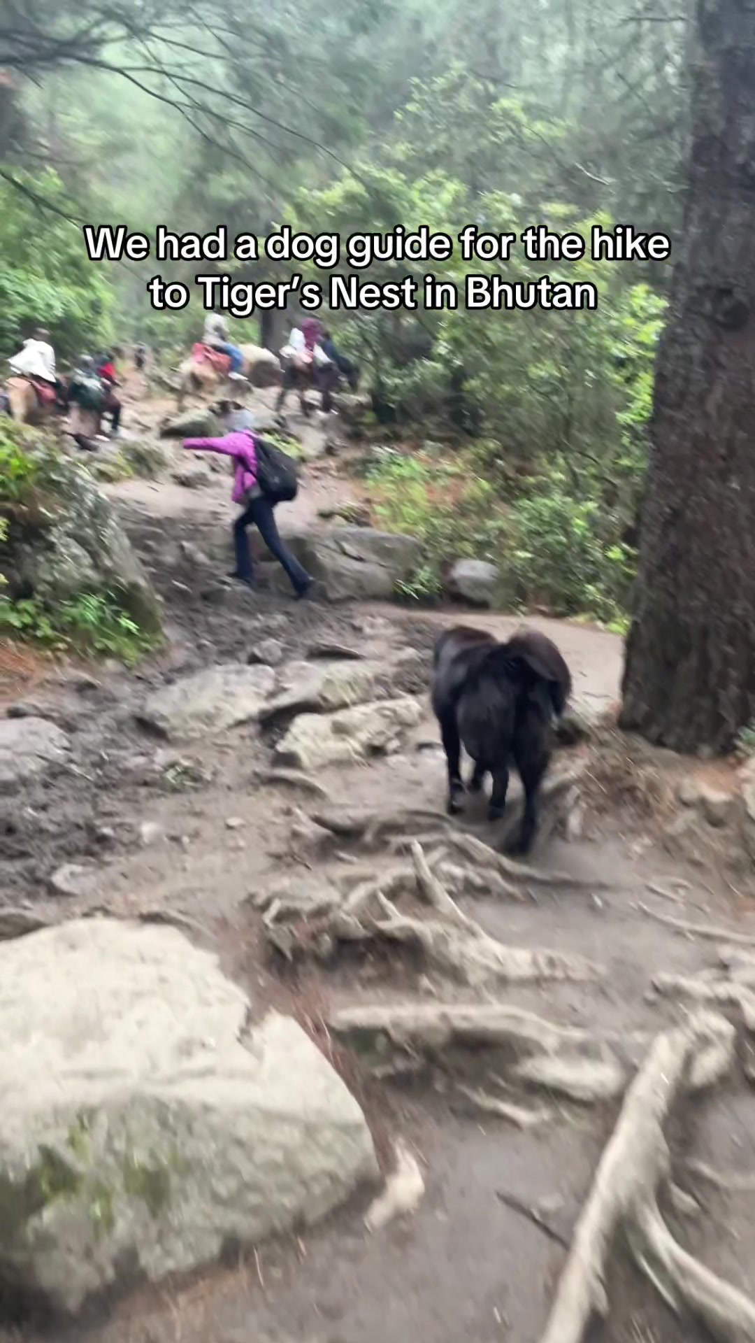 Tiger's Nest Monastery