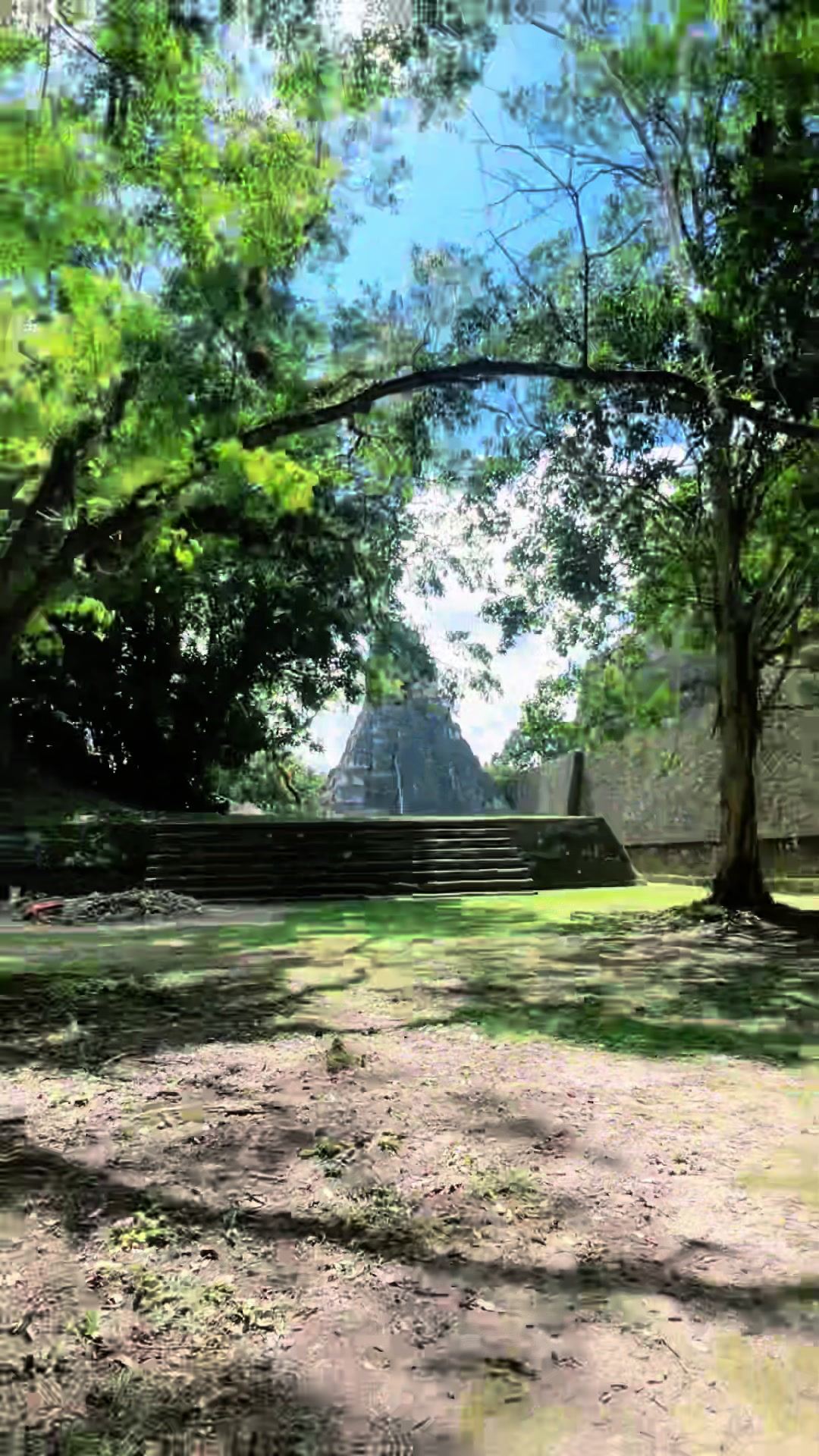 Tikal National Park