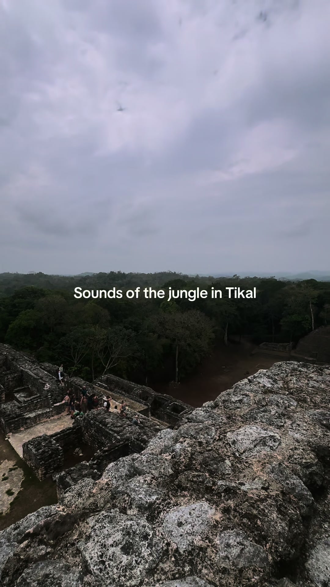 Tikal National Park