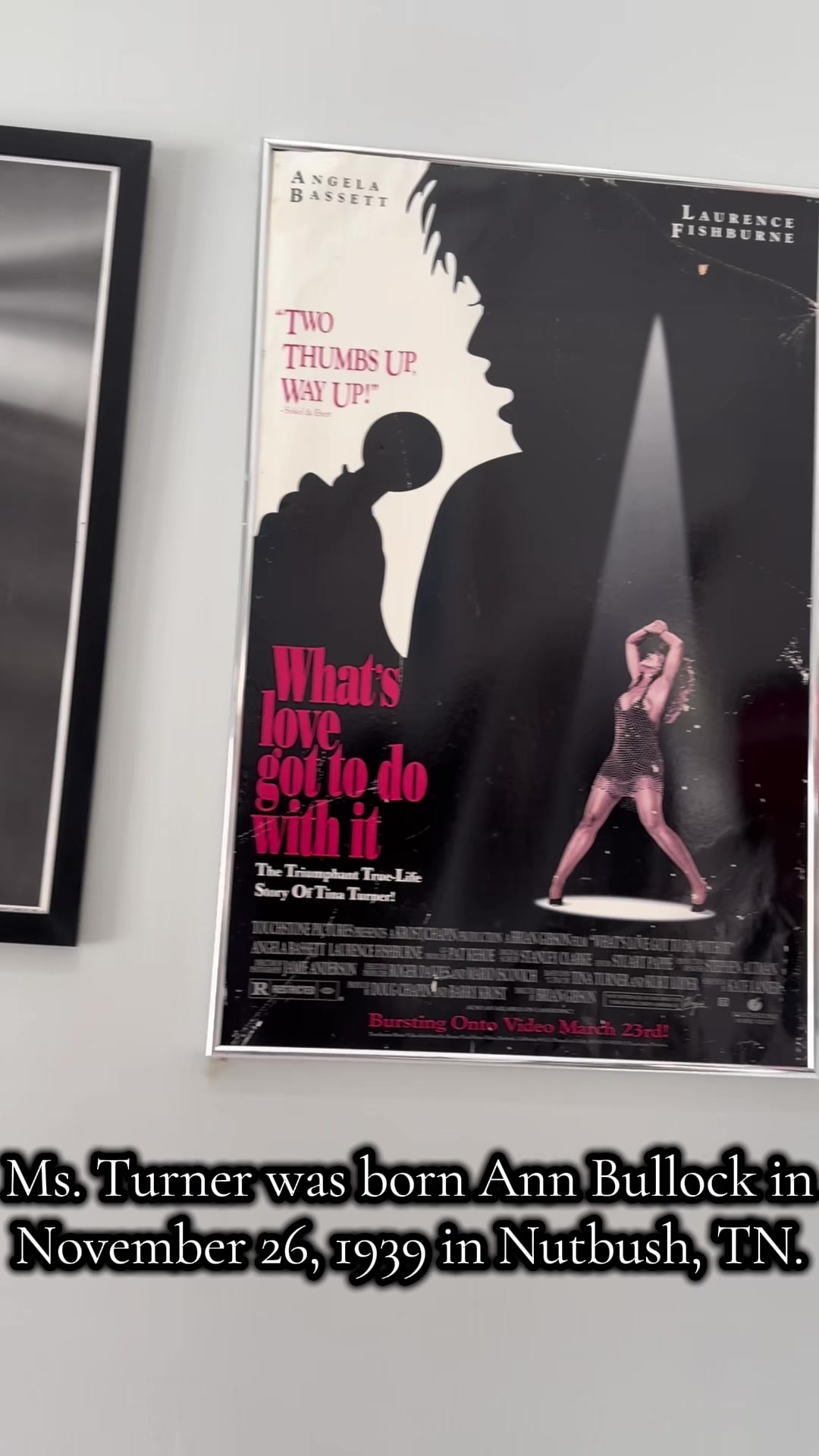 Tina Turner Museum at West Tennessee Delta Heritage Center (Brownsville, TN)