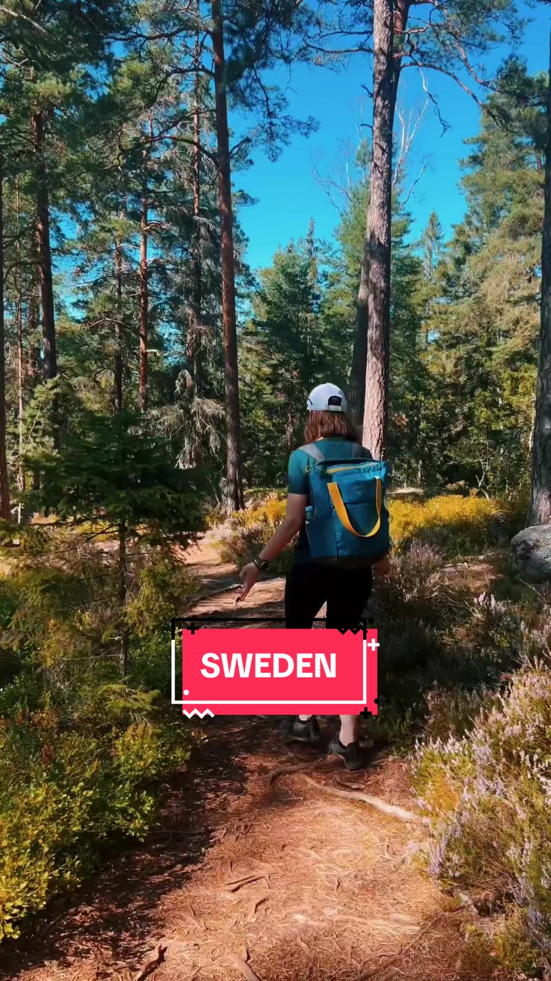 Tiveden National Park