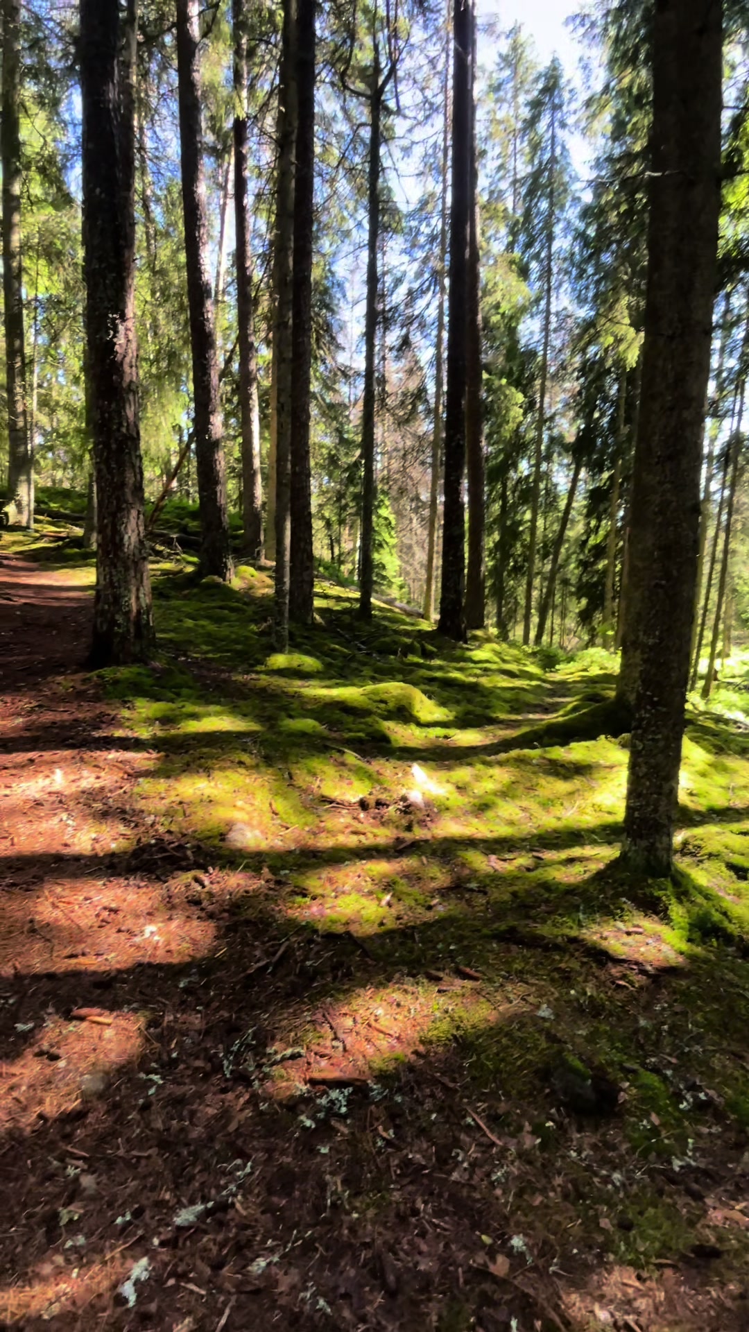 Tiveden National Park