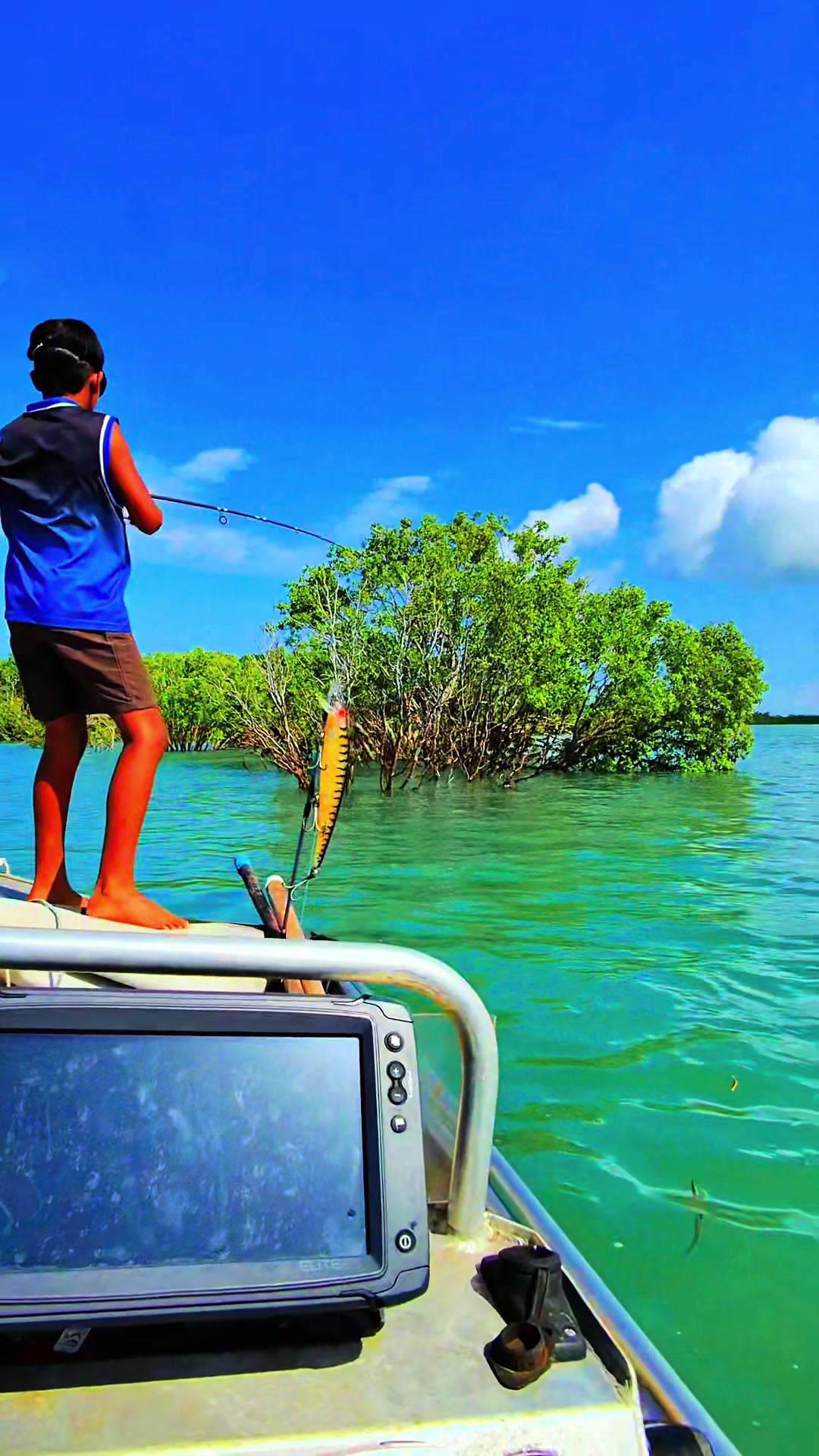 Tiwi Islands