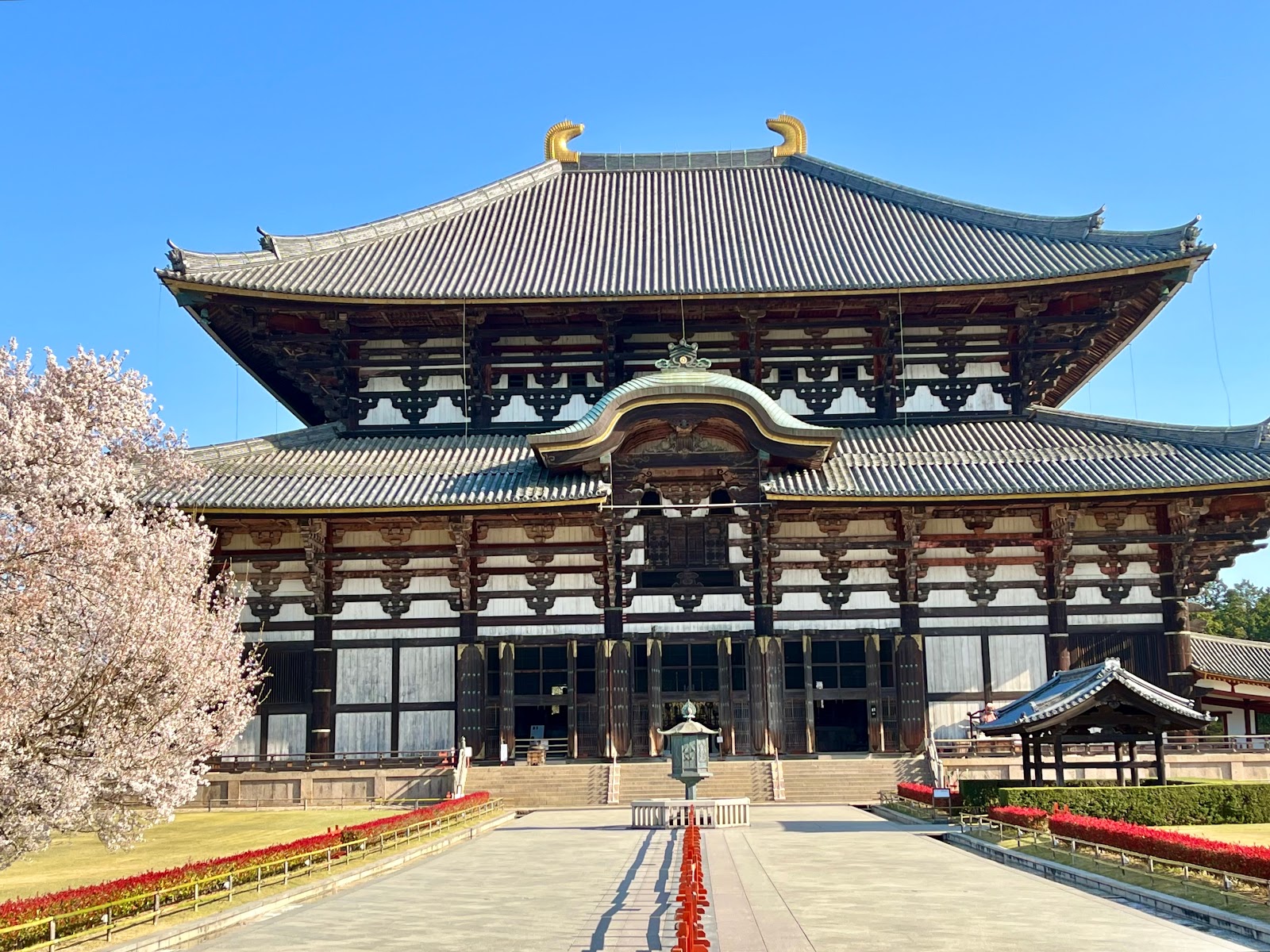 טדאגאווה (Nara Park / Todai-ji, נארה)
