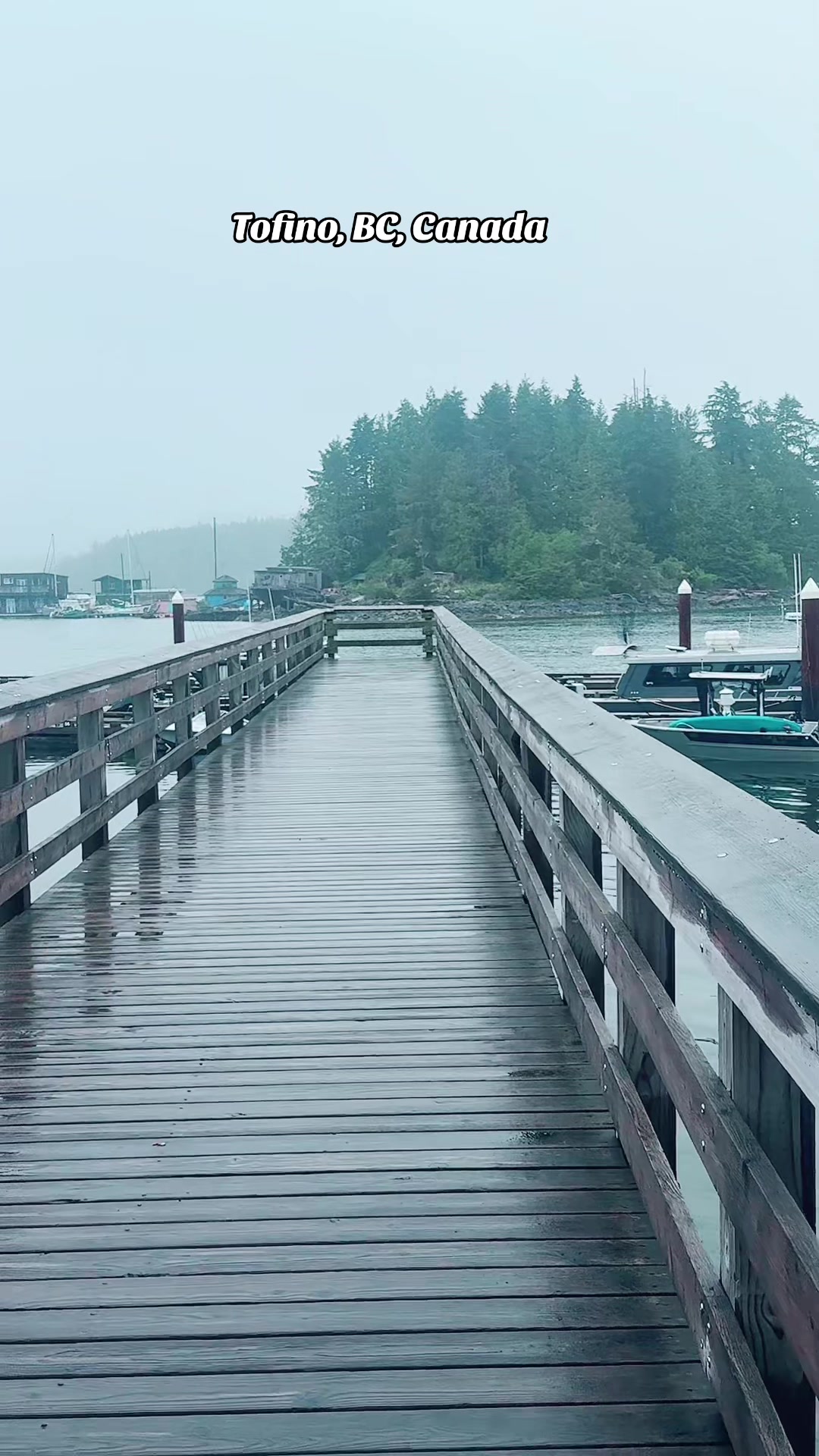 Tofino